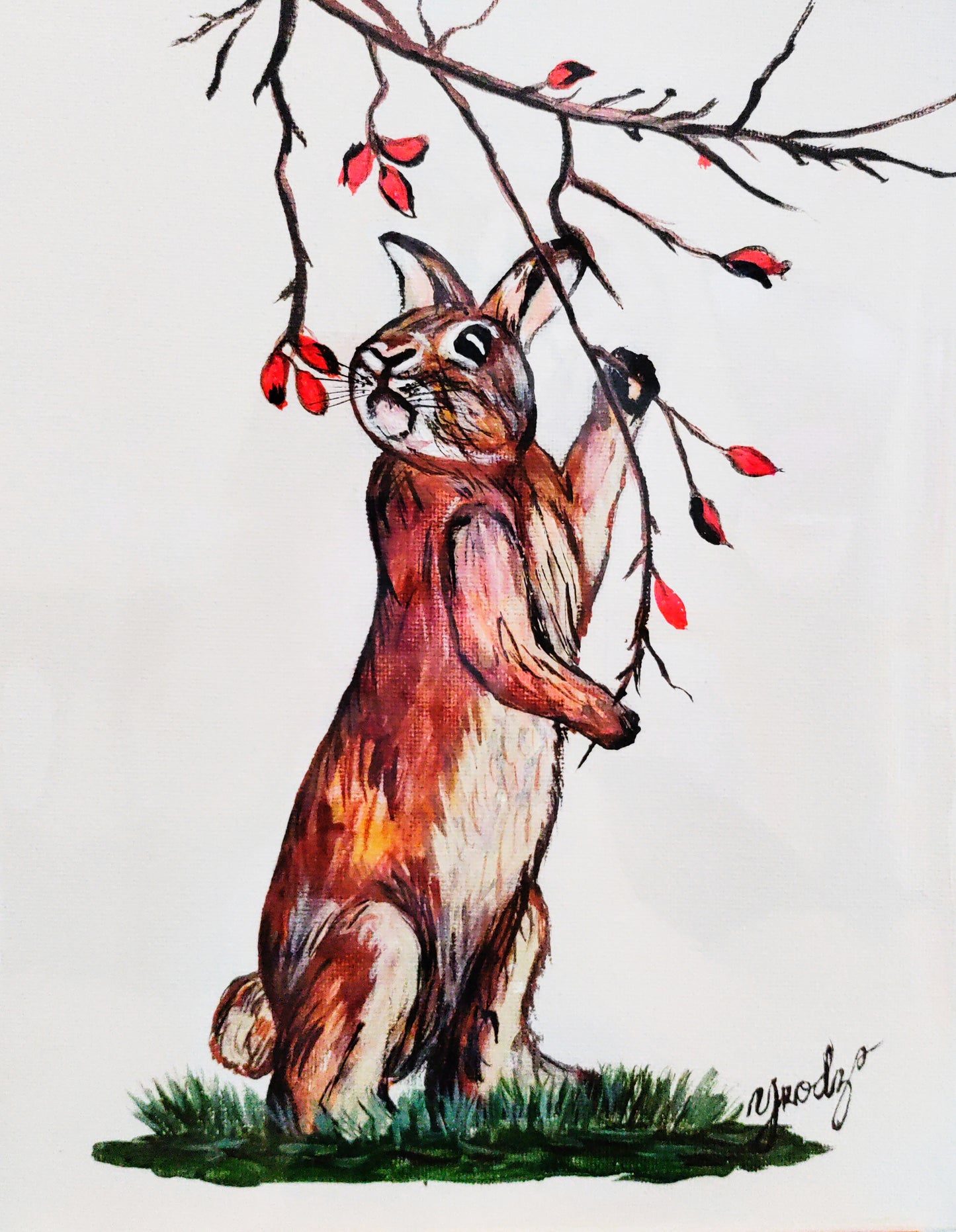 Look out Bunny